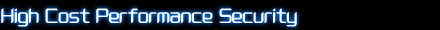 high cost performance security